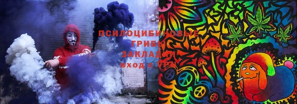 2c-b Лабытнанги