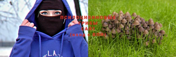 синтетический гашиш Ладушкин